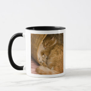 Orange tabby sleeping in hamper mug