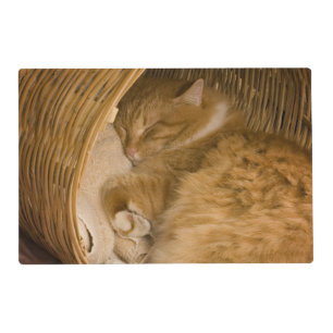 Orange tabby sleeping in hamper placemat