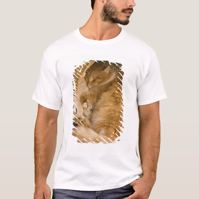 Orange tabby sleeping in hamper T-Shirt (Front)