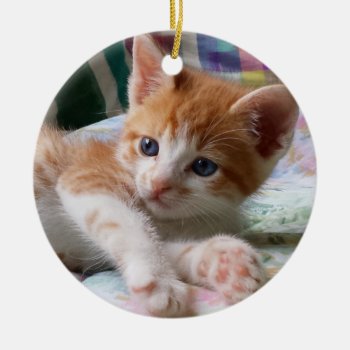 Orange Tabby & White Kitten Ornament by Melt_Your_Heart_MEOW at Zazzle