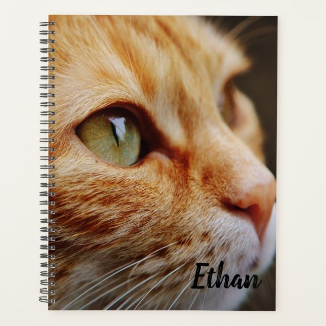 Orange Tabby with Green Eyes Custom Planner (Front)