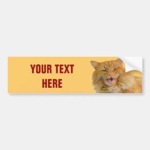 Orange Talking Cat Pumpkin Your Text Bumper Sticker