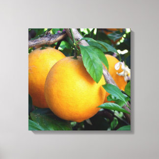 Orange - Tangelo Canvas Print