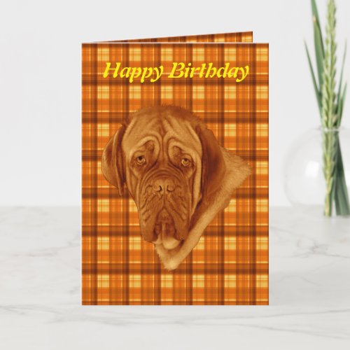 Orange Tartan French Bordeaux Dog Birthday Card Card
