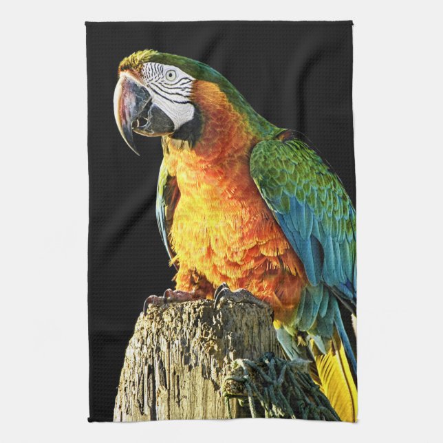 Orange Teal & Green Parrot Animal Photography Kitchen Towel (Vertical)
