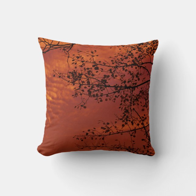 orange throw pillow with Asian flavor (Front)