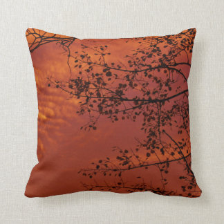 orange throw pillow with Asian flavor