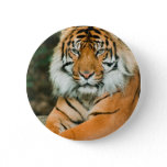 Orange Tiger Button