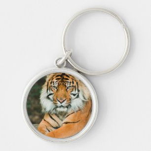 Orange Tiger Keychain