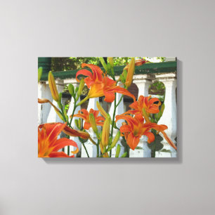 Orange Tiger Lilies - Martha's Vineyard Canvas Print