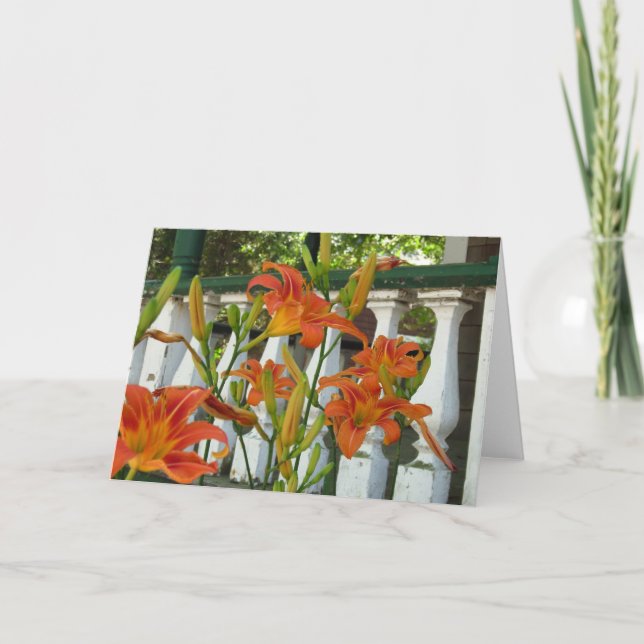 Orange Tiger Lilies - Martha's Vineyard Card (Front)