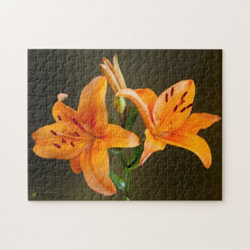 Orange Tiger Lillies  Buds Close_Up Photography Jigsaw Puzzle