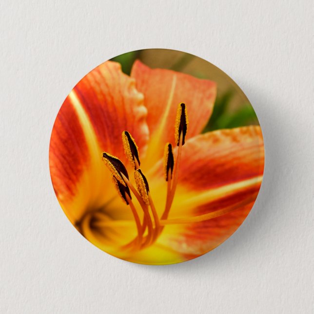 Orange Tiger Lily Badge Button (Front)