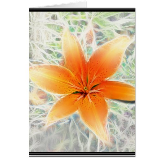 Orange Tiger Lily Cards (Front)