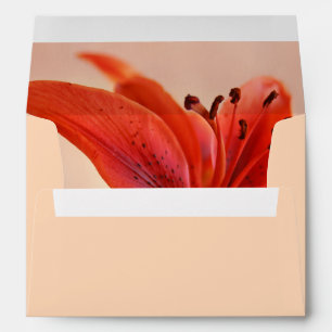 Orange Tiger Lily Close-Up Photograph Inside Envelope