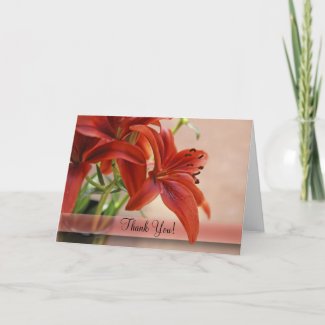 Orange Tiger Lily Close-Up Photograph