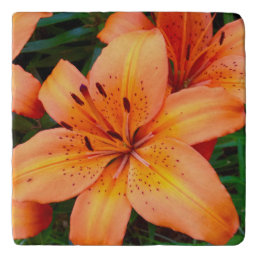 Orange Tiger Lily Floral Trivet