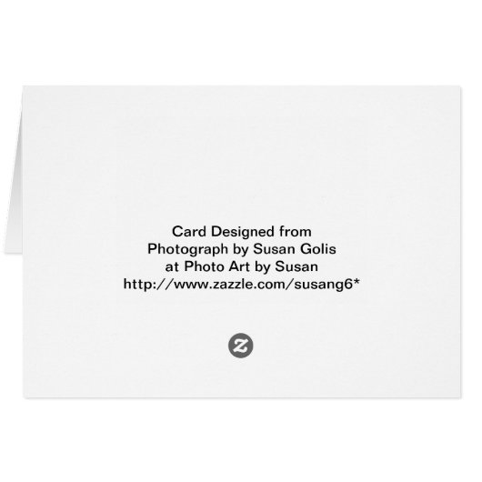 Orange Tiger Lily Flower Card (Back Horizontal)