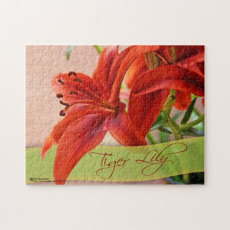 Orange Tiger Lily Flowers Close-Up and Typography