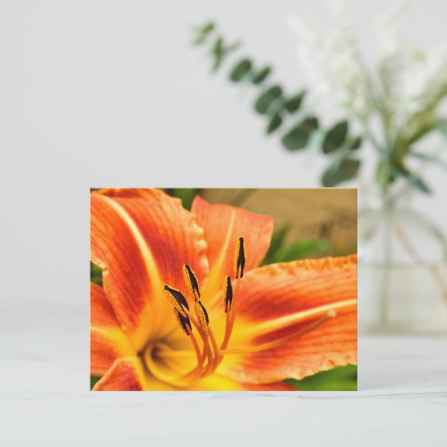 Orange Tiger Lily Postcard (Standing Front)