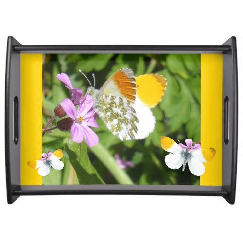 Orange Tip Butterfly Design Serving Tray