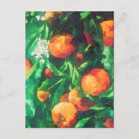 Orange Tree Branch Watercolor Postcard
