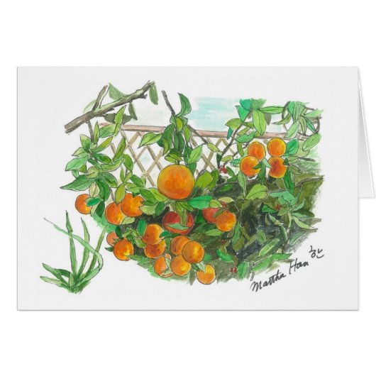 Orange tree cards (Front Horizontal)