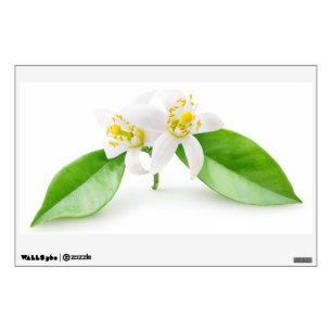 Orange tree flowers wall decal