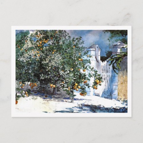 Orange Tree Nassau Bahamas Winslow Homer Postcard
