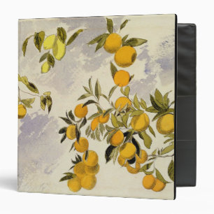 Orange Trees, 1863 (w/c, pen and ink over graphite Binder