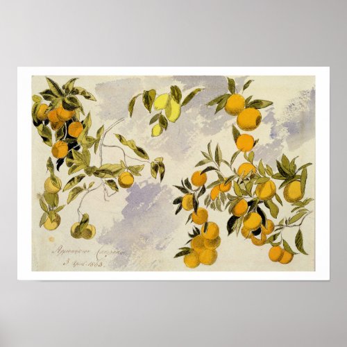 Orange Trees 1863 wc pen and ink over graphite Poster
