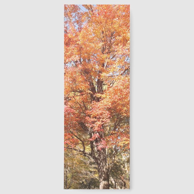 Orange Trees Bookmarks (Front)