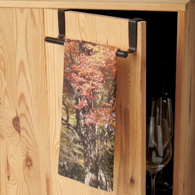 Orange Trees Kitchen Towel (Thirds Fold)