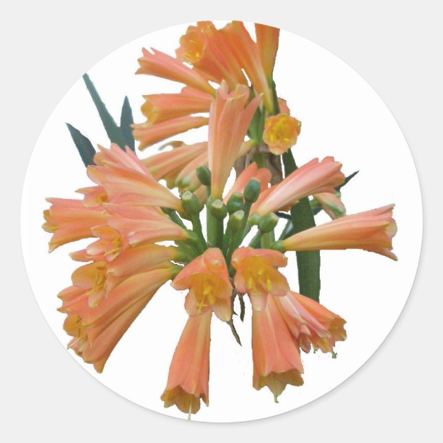 Orange Tropical Flower Stickers (Front)