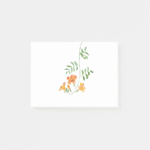 orange trumpet vine campsis radican flowers post_it notes