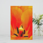 Orange Tulip (Standing Front)