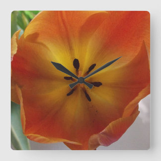 Orange Tulip Bloom Kitchen Square Wall Clock
