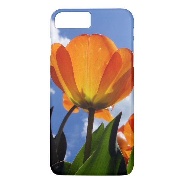 Orange Tulip, Blue Sky Case-Mate iPhone Case (Back)