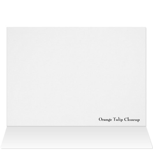 Orange Tulip Closeup (Inside Horizontal (Top))