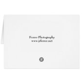 Orange Tulip Closeup (Back Horizontal)