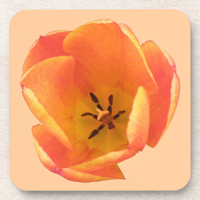 Orange Tulip Cork Coaster (Front)