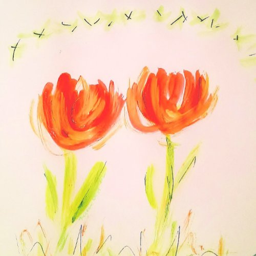 Orange Tulip Cushion by Ariella  Lily Designs