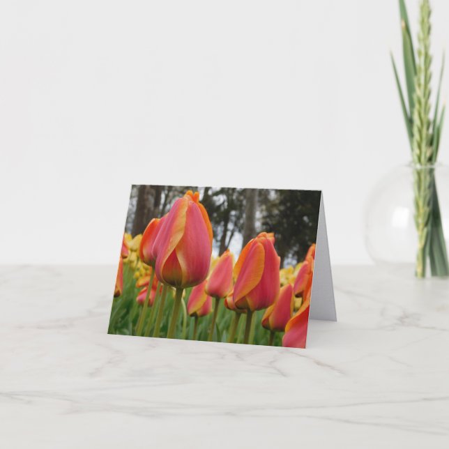 Orange Tulip Fine Art Photography Folded Note Card (Front)