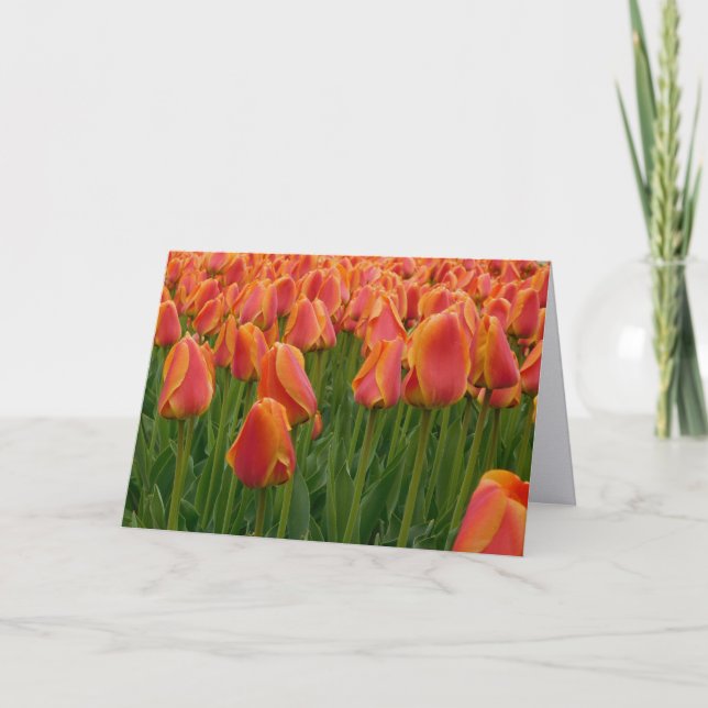 Orange Tulip Fine Art Photography Folded Note Card (Front)