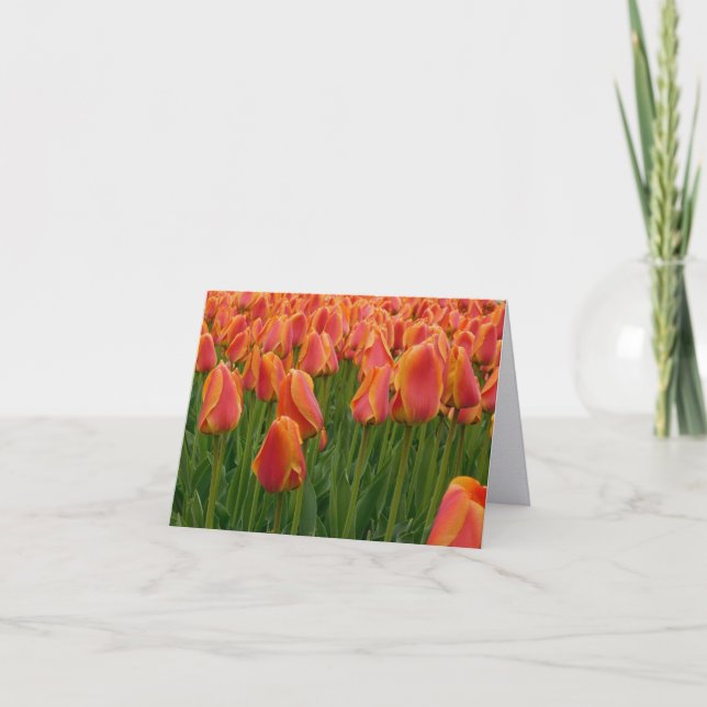 Orange Tulip Fine Art Photography Folded Note Card (Front)