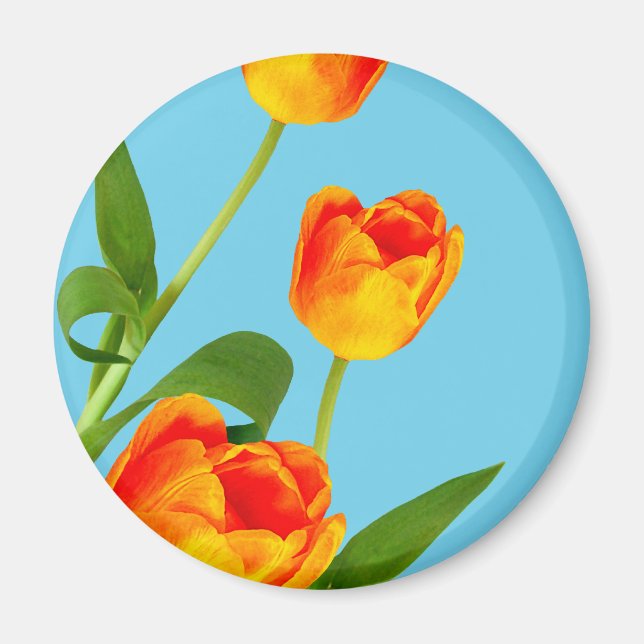 Orange Tulip Magnet (Front)