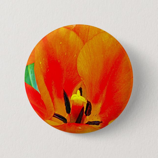 Orange Tulip Pinback Button (Front)