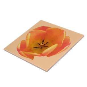 Orange Tulip Tile