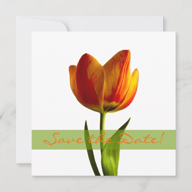 Orange Tulip Wedding Save the Date Announcement (Front)