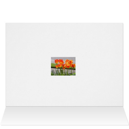 Orange Tulips (Inside Horizontal (Top))